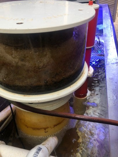 How to lower Phosphate